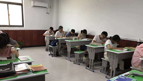 睿思教育诚聘电话客服 成为教育咨询服务的桥梁